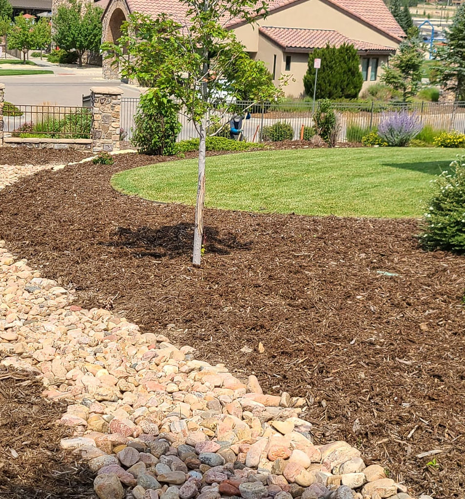 Colorado Springs Landscaper - softscape designs