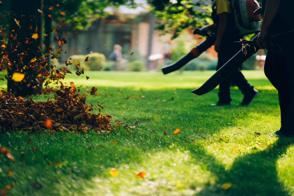 Stock - Professional leaf blowers