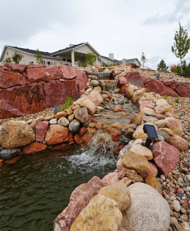 Cabernet Landscape Project